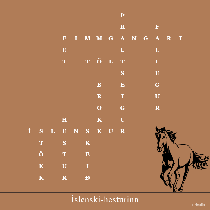 Íslenski-hesturinn